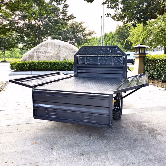 Новый рекламный электрический трехколесный мотоцикл для пассажирских и грузовых перевозок